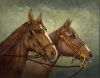 chevaux-w.JPG